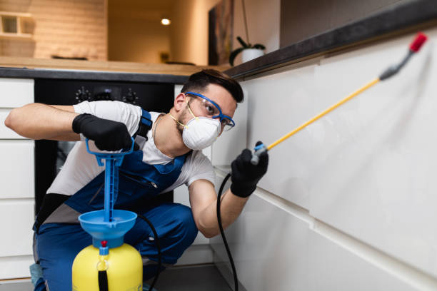 Best Flea Control Services  in Baxter, MN