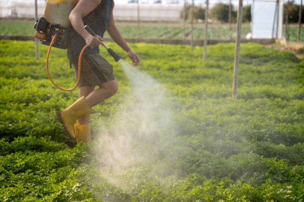 Best Pest Removal Services  in Baxter, MN