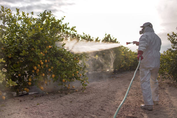Best Pest Control Near Me  in Baxter, MN