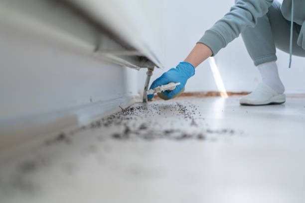 Pest Prevention Services in Baxter, MN